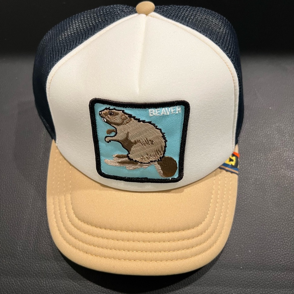 Beaver - goorin bros hat
